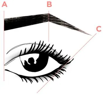 Brow mapping